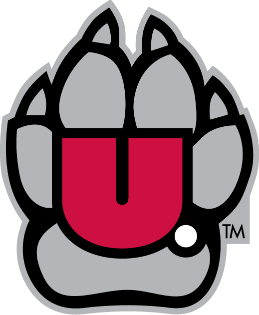 South Dakota Coyotes 2004-2011 Alternate Logo v2 diy iron on heat transfer